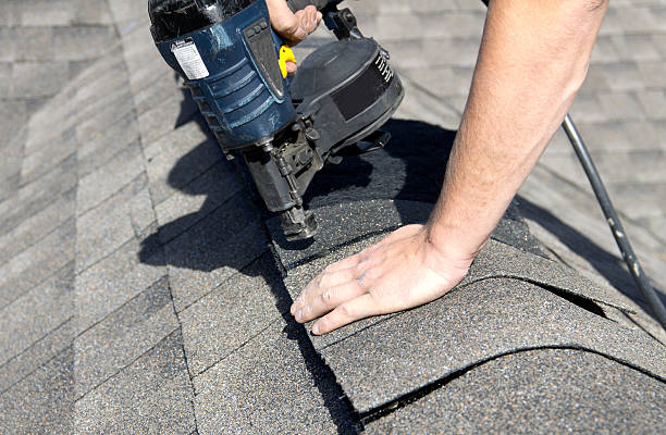 Best Roof Maintenance and Cleaning  in Sterling, VA